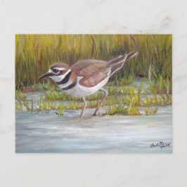 Tödlicher im Hostetter Farm Bird Art Postkarte