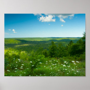 Todman's Hill Overlook, Michigan Poster