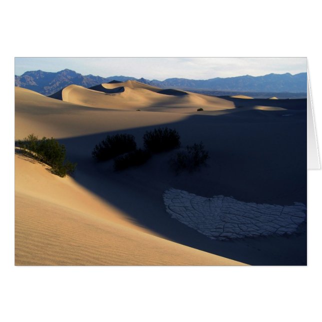 Todtal Morning Dunes Blank Card (Vorderseite (Horizontal))