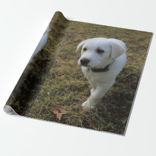 Toffee Geschenkpapier