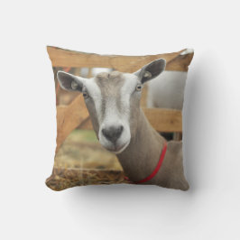 Toggenburg Dairy Goat Doe Kissen