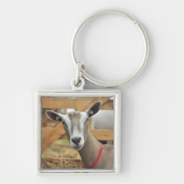 Toggenburg Dairy Goat Doe Schlüsselanhänger