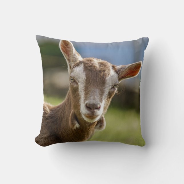 Toggenburg Dairy Goat Kid Kissen (Vorderseite)