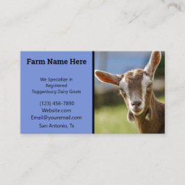 Toggenburg Dairy Goat Kid Visitenkarte