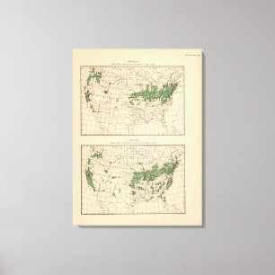 Toile 175 cerises, raisins, principales régions