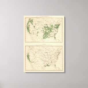 Toile 177 prunes, pruneaux, figues, principales régions