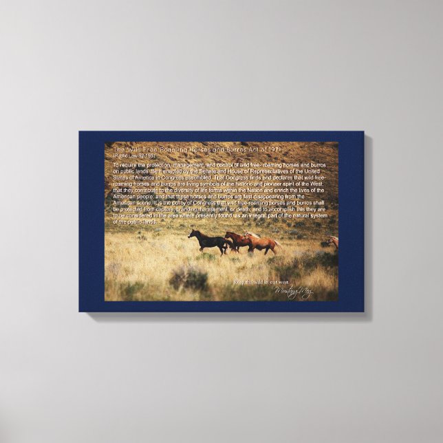 Toile 1971 Wild Free Roaming Horses & Burros Act Canvas (Recto)