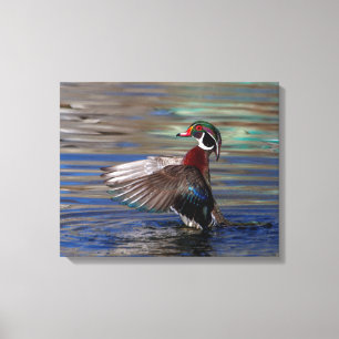 Toile 20x16e Escadre Flacon de canard en bois