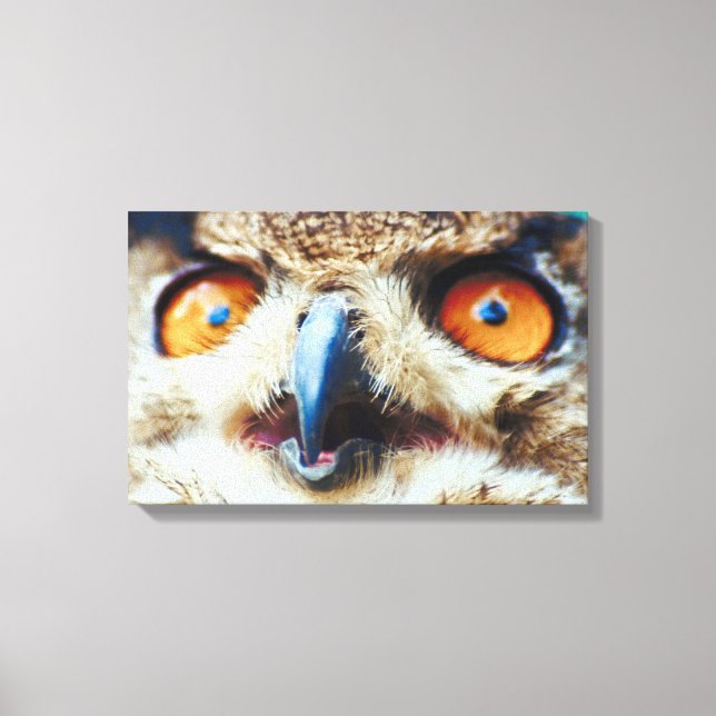 TOILE 23897325 (Recto)