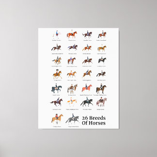 Toile 26 races de chevaux