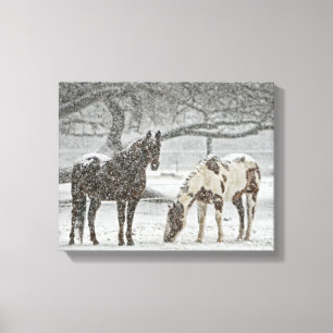 Toile 2 Horses Outside en hiver