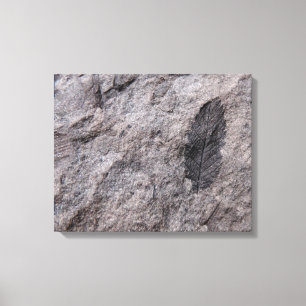 Toile 350 Millions D'Yr. Imprimer photo fossile vieux Pl