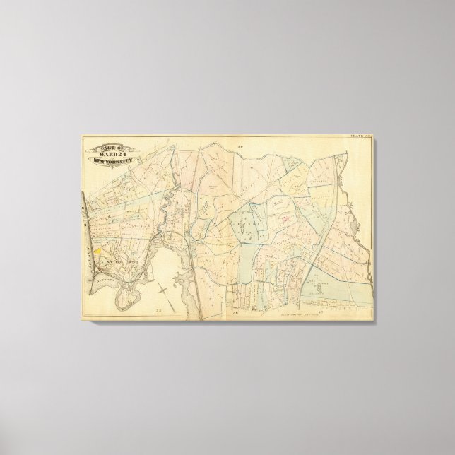 Toile 39 Ward 24 (Recto)