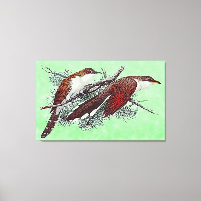 Toile à bec noir et jaune pour oiseaux de cacao Im (Recto)
