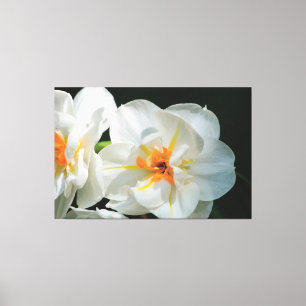 Toile à fleurs blanches