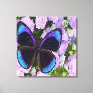 Toile à Papillon violet à enveloppe supérieure