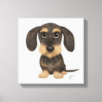 À poils durs Dachshund | Teckel de chien de carica