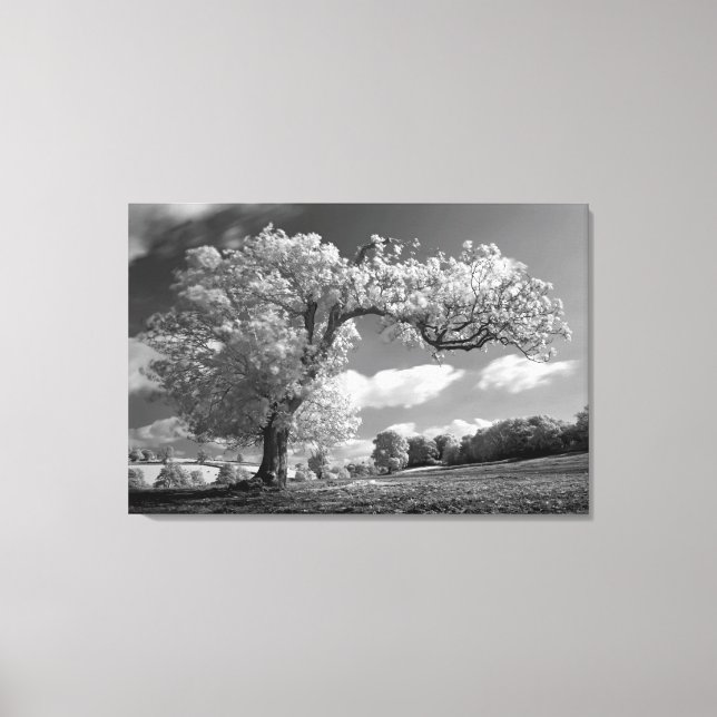 Toile A Tree blows in the Wind (Recto)