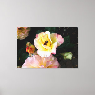 Toile Abeille sur roses rose jaune Fleurs