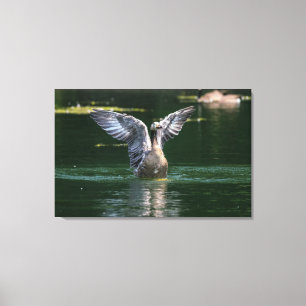 Toile Action de l'aile Old Goose