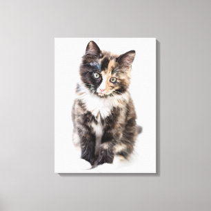Toile Adorable Calico Kitten
