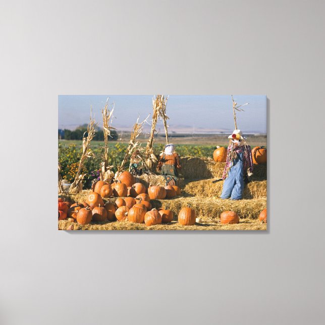 Toile Affichage citrouille avec balles de foin et épouva (Recto)