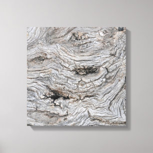 Toile Affiche de texture d'écorce d'olivier ancien