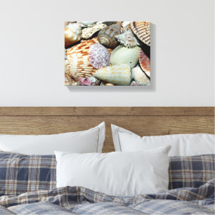 Toile affiche des coquillages