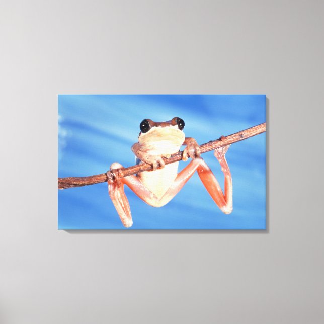 Toile Afrique (Recto)