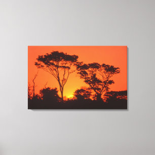 Toile Afrique du Sud.  Coucher de soleil africain.