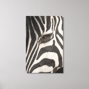 Toile 'Afrique, Tanzanie, zone de conservation du Ngoron