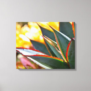 Toile Agave Blue Glow photo succulente Debra Lee Baldwin