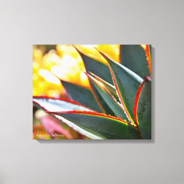 Toile Agave Blue Glow photo succulente Debra Lee Baldwin (Recto)