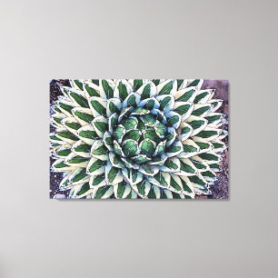 Toile Agave victoriae-reginae Imprimer