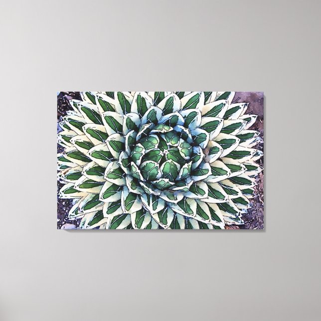 Toile Agave victoriae-reginae Imprimer (Recto)