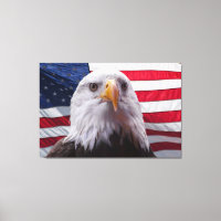 Aigle à tête blanche et drapeau américain