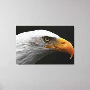 Toile Aigle à tête plate 36x24 (90x60cm) waccna