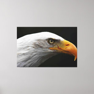 Toile Aigle à tête plate 60x40 (150x100cm) waccnm