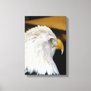 Toile Aigle de Bald