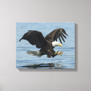 Toile Aigle en approche
