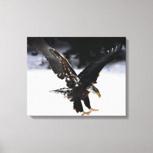 Toile Aigle et glace