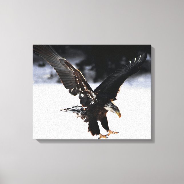 Toile Aigle et glace (Recto)