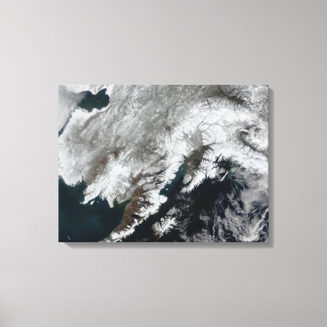Toile Alaska (Recto)