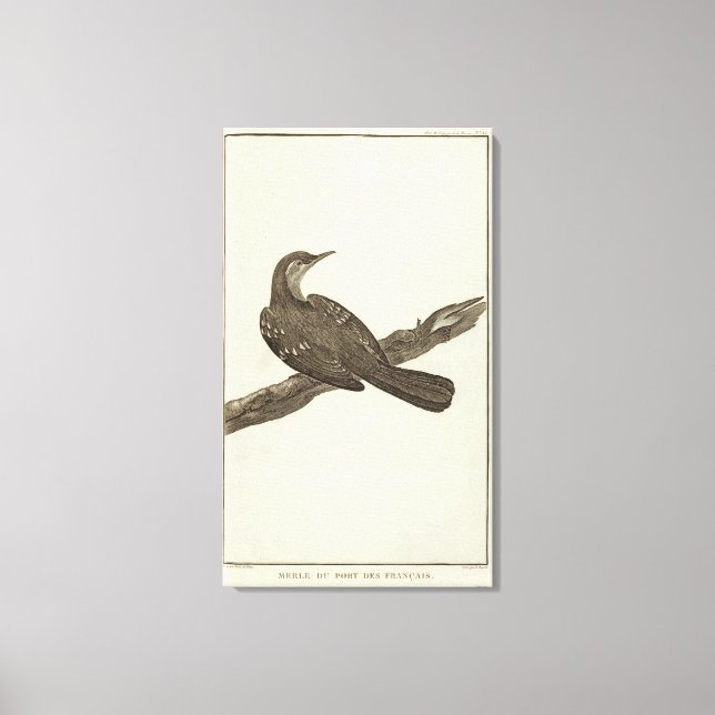 Toile Alaska 6 (Recto)