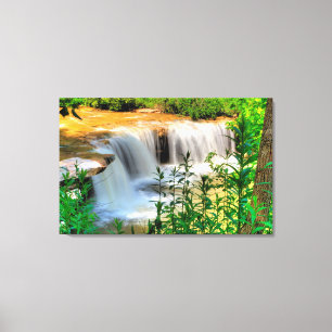 Toile Albert Falls, Virginie-Occidentale