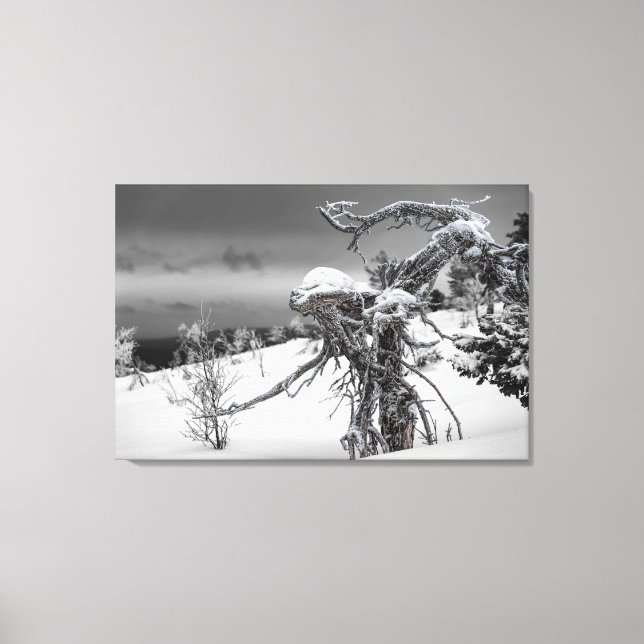 Toile Alien en bois dans le cadre hivernal (Recto)