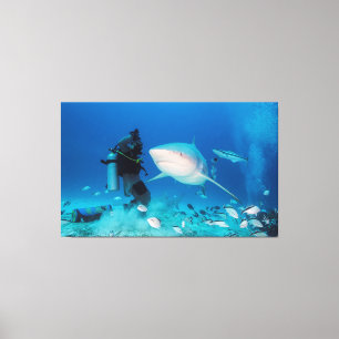 Toile Alimentation de Taureau