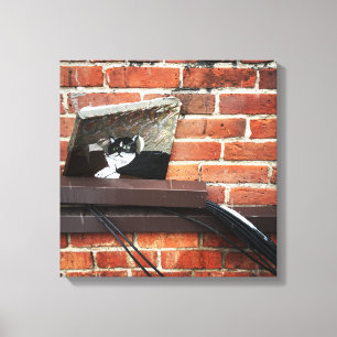 Toile alley cat art
