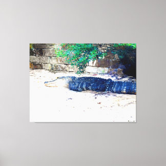 Toile Alligator se reposant près d'un mur de pierre