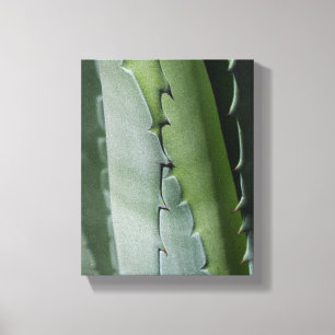 Toile Aloe - Photographie de Macro Fine Art